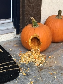 A squirrel ravaged my neighbors pumpkin last night but it looks like the pumpkin just puked up its guts