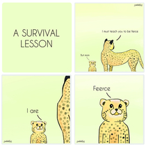 A survival lesson