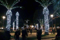 A town in Italy erected some Christmas lights on palm trees 