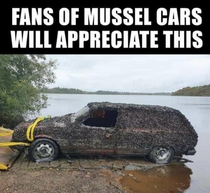 A true mussel car