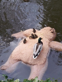 A very beary ferry