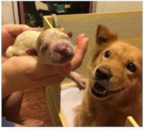 A very proud new father