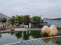 A very sad park in Hong Kong