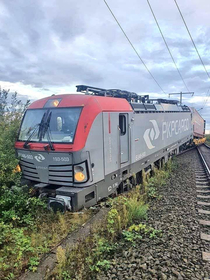 A wild locomotive feeding on weeds Rare picture