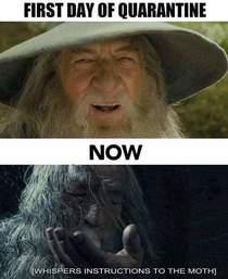 A wizard is never late nor is he early for he has completely lost track of what day and time it is