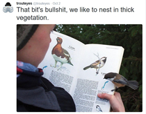 A young birdwatcher opens his reference book
