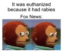 About that fox that was caught at the US capital