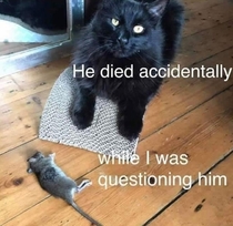 Accidental Killing