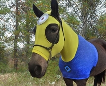 Accidentally searched up minion horse instead of minion horde on google Not even mad