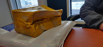 Ace Ventura delivered a package to our office today