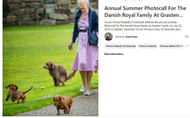 Action sht of Danish royal dogs