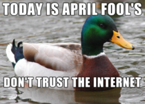 Actual Advice Mallard