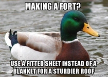 Actual Advice Mallard best blanket fort