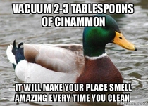 Actual Advice Mallard cinnamon smells a lot better than burnt dust