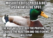 Actual Advice Mallard stop scratching your mosquito bites