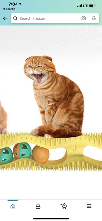 Actual Amazon Cat Toy advertisement Cat is yawning