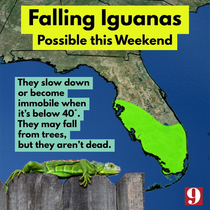Actual PSA from Florida news station