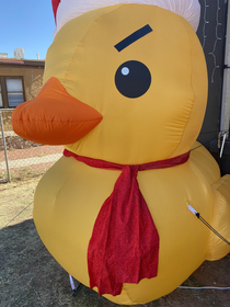 Added some black tape eyebrows to our Xmas duck
