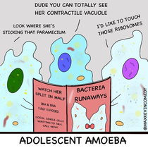 Adolescent Amoeba 