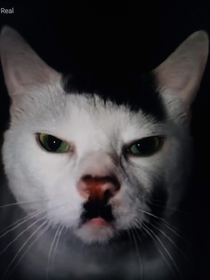Adolf kittler