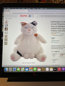 Adorable cat stuffed animal on Amazon It specifies for children and girls 