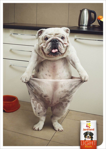 Advertisement for light dog food