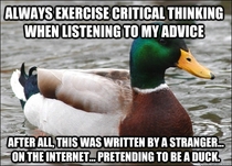 Advice Duck