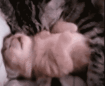 after-a-long-school-year-going-back-home-and-finally-sleeping-with-my-girlfriend-again-10224.gif