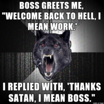 After a long vacation this is how my boss welcomes me