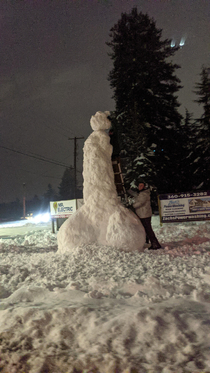 After a snowstorm in Washington State