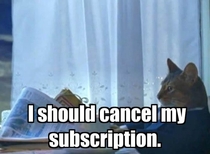 After dealing with Comcast customer service