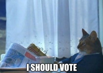 After finding out theres a cat in the running for presidency