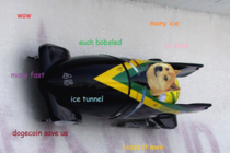 After learning that Dogecoin donated k to the Jamaican Bobsledding team