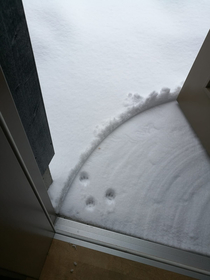 After little bit of snow my cat noped going outside