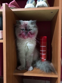 After playing with lipstick 