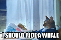 After Seeing My Ex-Wife Make the Front Page Riding an Elephant in Thailand   