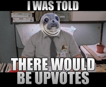After seeing so many make the front page with the Seal I thought it was a guarantee
