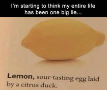 Ah yes the citrus duck