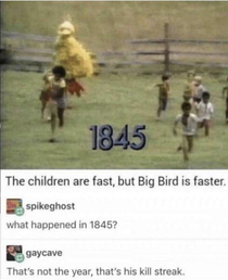 Ahh big bird