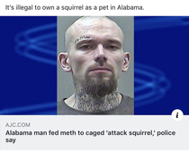 Alabama giving Florida a run for its money