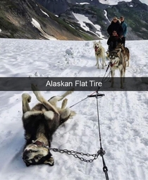 Alaskan Flat Tire