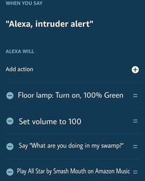Alexa intruder alert