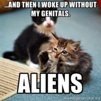 Aliens Cat
