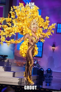 All I could think of when I see Miss Venezuelas costume
