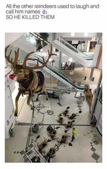 All of the other reindeer used to laugh and call him names So the other reindeer had a little accident