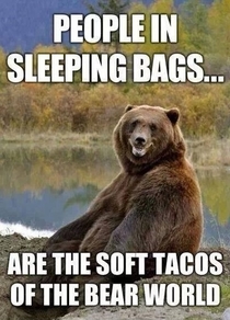 All species love soft tacos