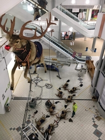 All the other reindeer used to laugh and call him names so he killed them all 