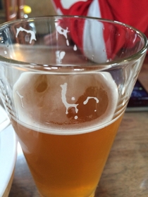 All this talk of llamas has me seeing things in my beer foam