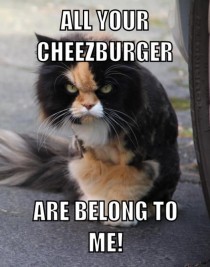 ALL YOUR CHEEZBURGER