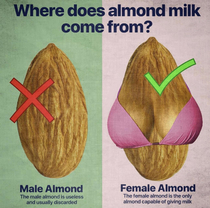 Almond milk